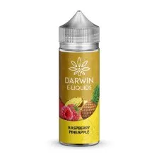 Raspberry Pineapple 100ml Shortfill E-Liquid by Darwin