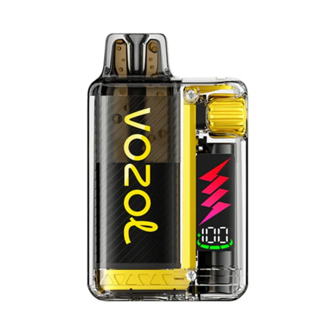 Box of 10 Vozol Vista Plug 10000 Puffs