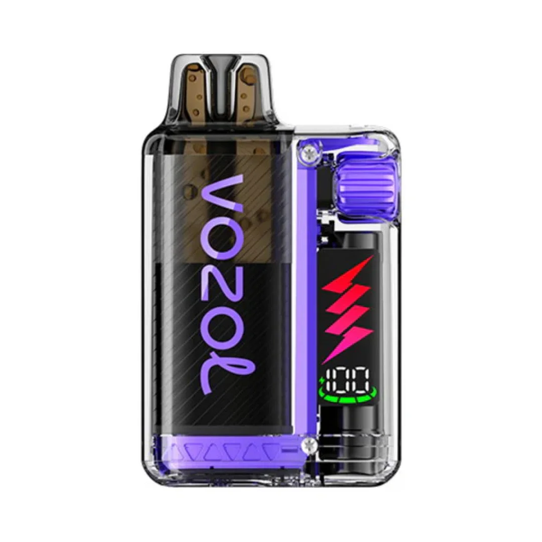 Box of 10 Vozol Vista Plug 10000 Puffs