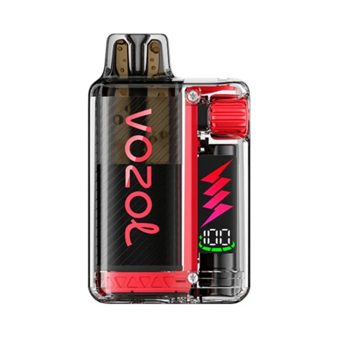 Box of 10 Vozol Vista Plug 10000 Puffs