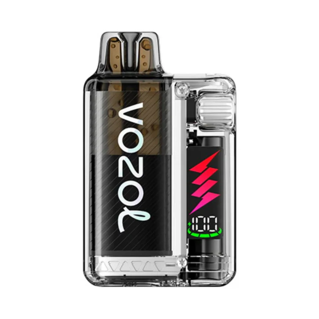 Box of 10 Vozol Vista Plug 10000 Puffs