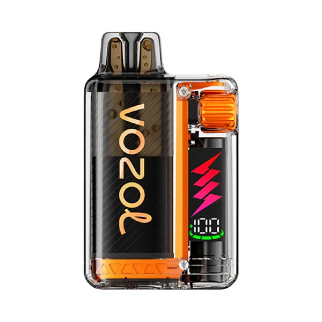 Box of 10 Vozol Vista Plug 10000 Puffs