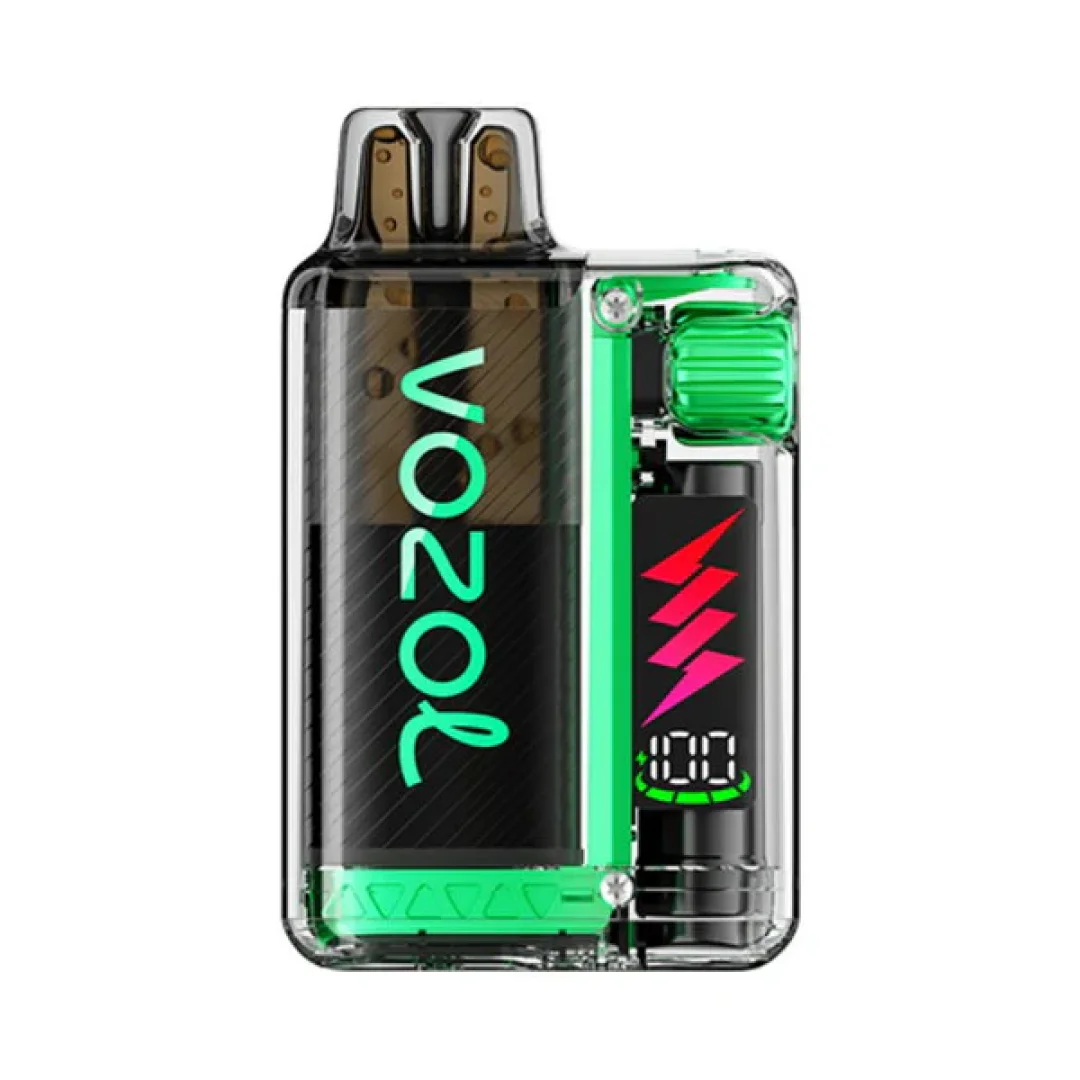 Box of 10 Vozol Vista Plug 10000 Puffs