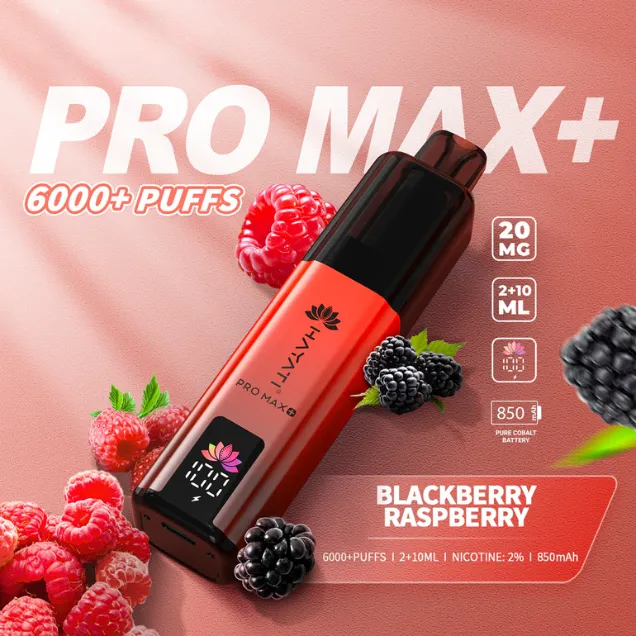 Hayati Pro Max Plus 6000 Puffs Disposable Vape in 30+ Flavours